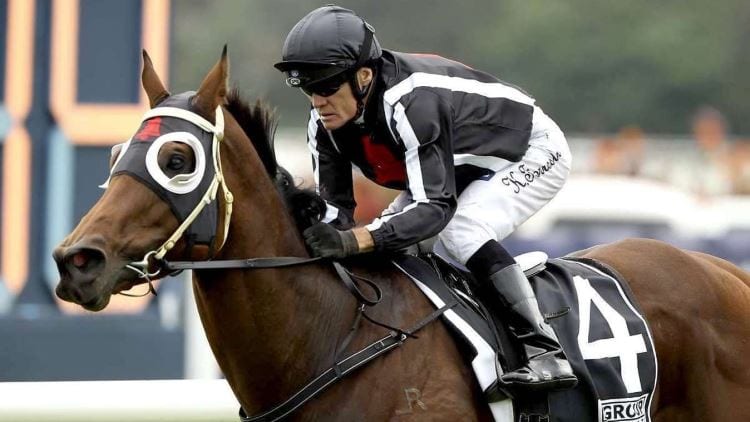 jungle edge racehorse