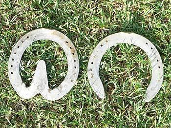 horse racing bar plate