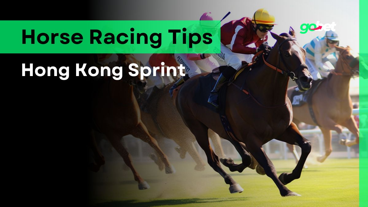 gobet hong kong sprint tips