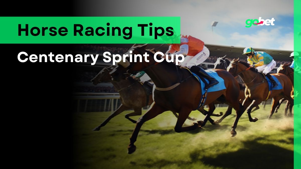 gobet centenary sprint cup tips