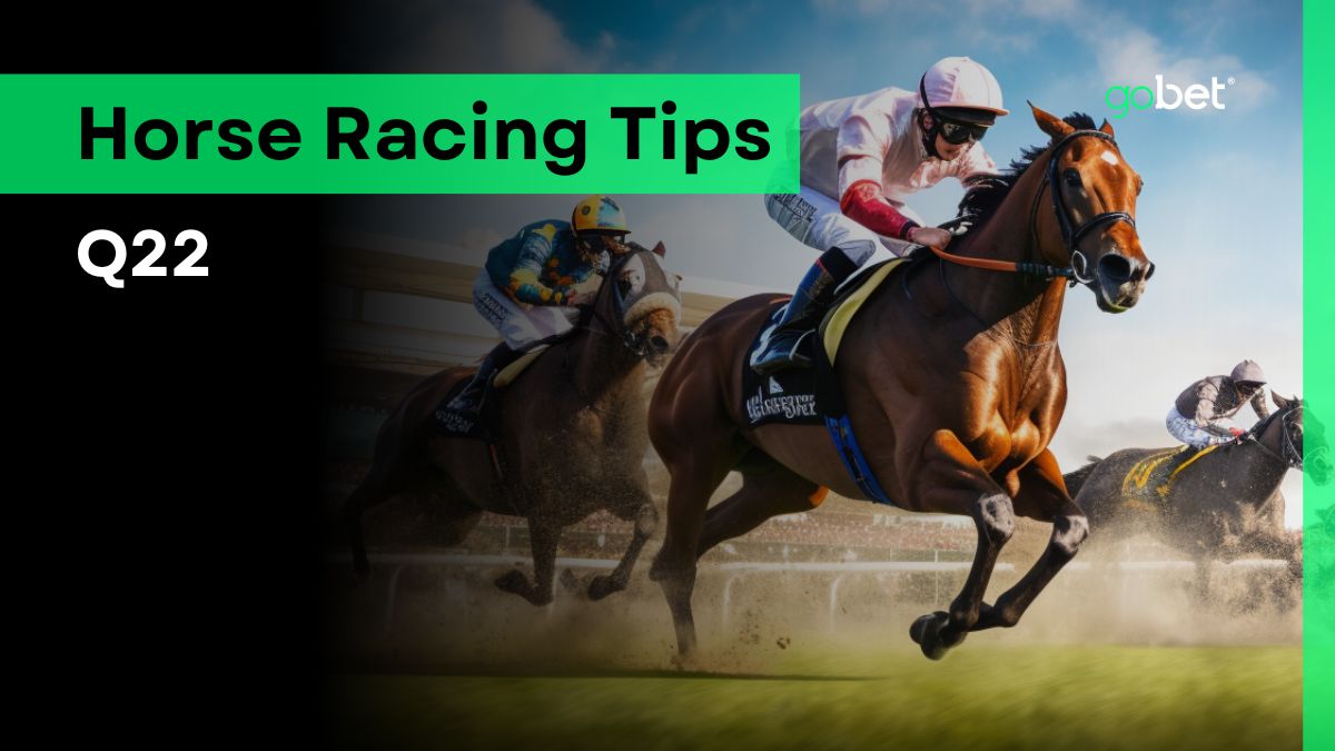 gobet q22 horse racing tips