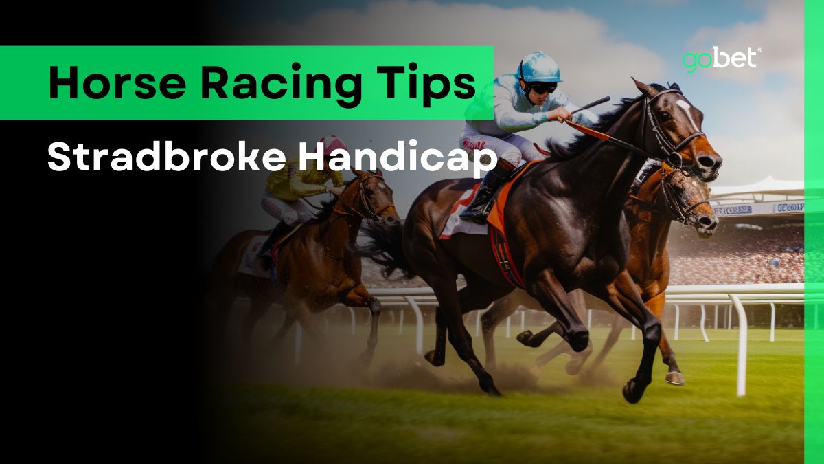 gobet stradbroke handicap betting tips
