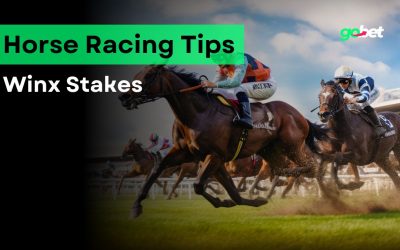gobet winx stakes betting tips