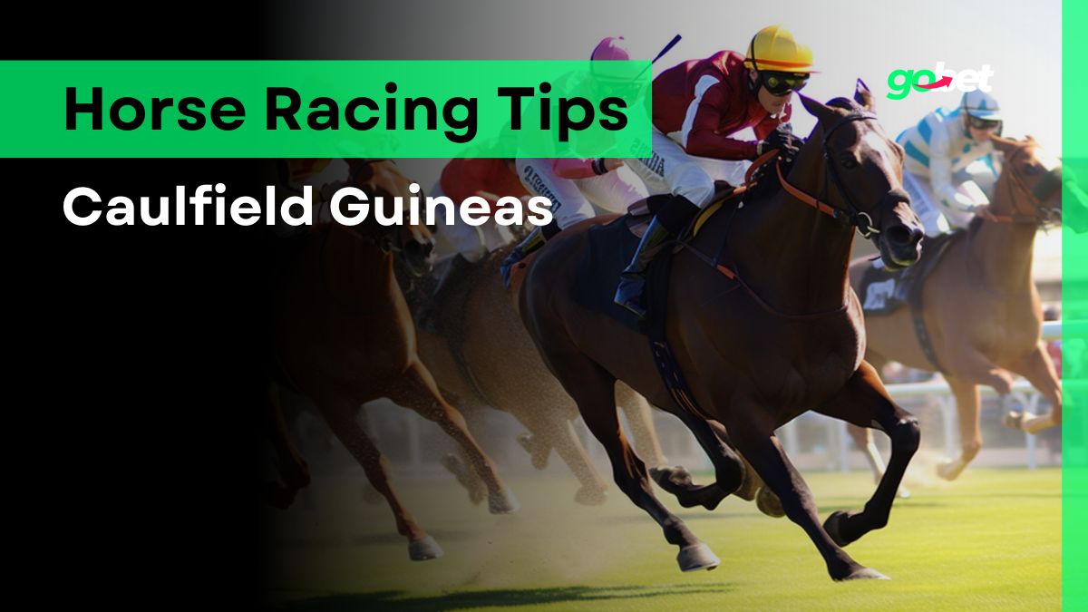gobet caulfield guineas tips