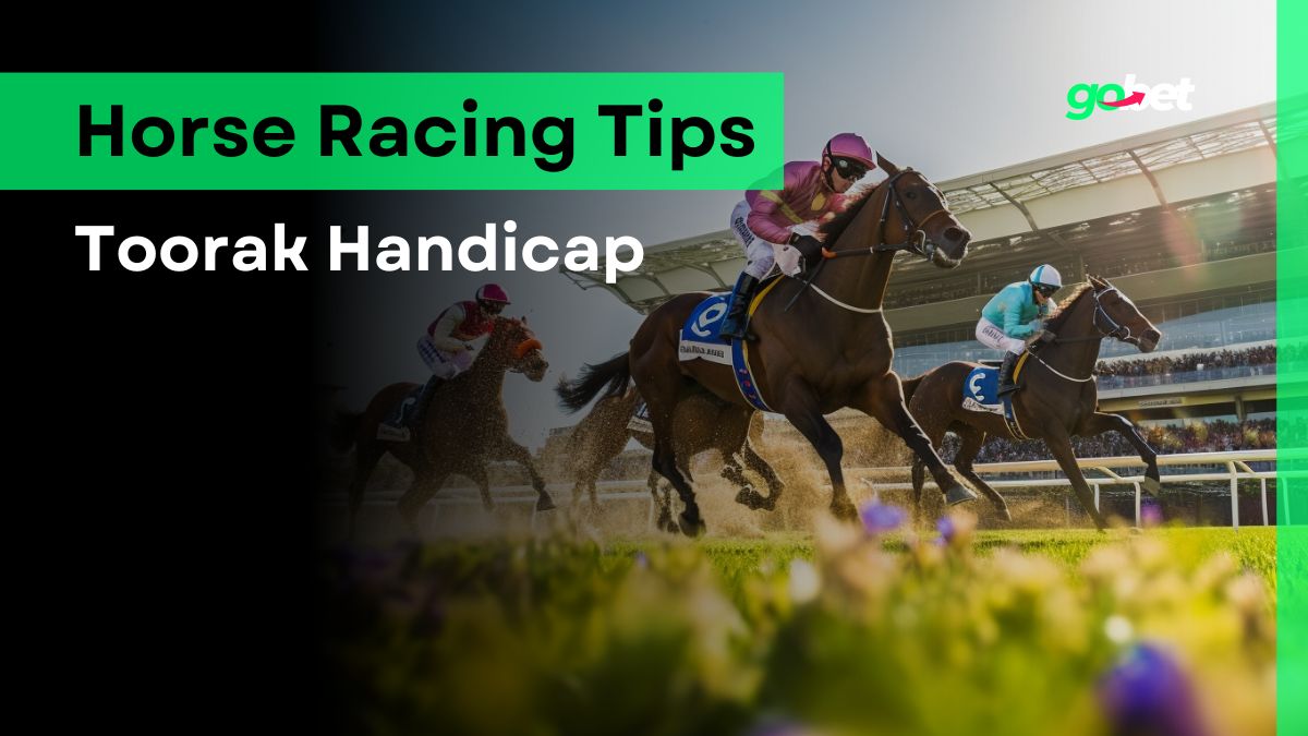 gobet toorak handicap tips