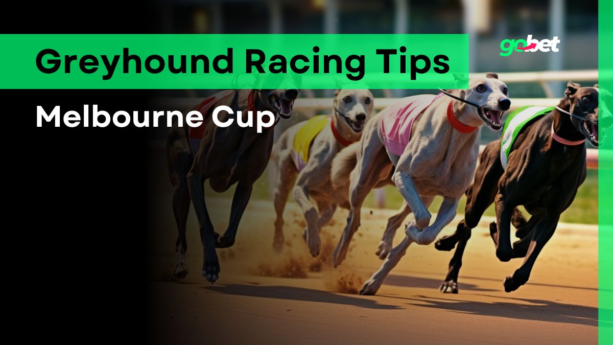 gobet greyhound melbourne cup tips