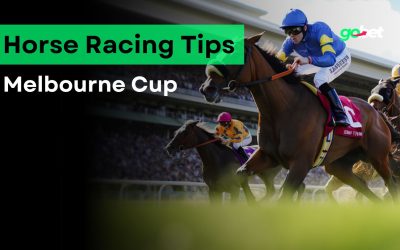 gobet melbourne cup betting tips