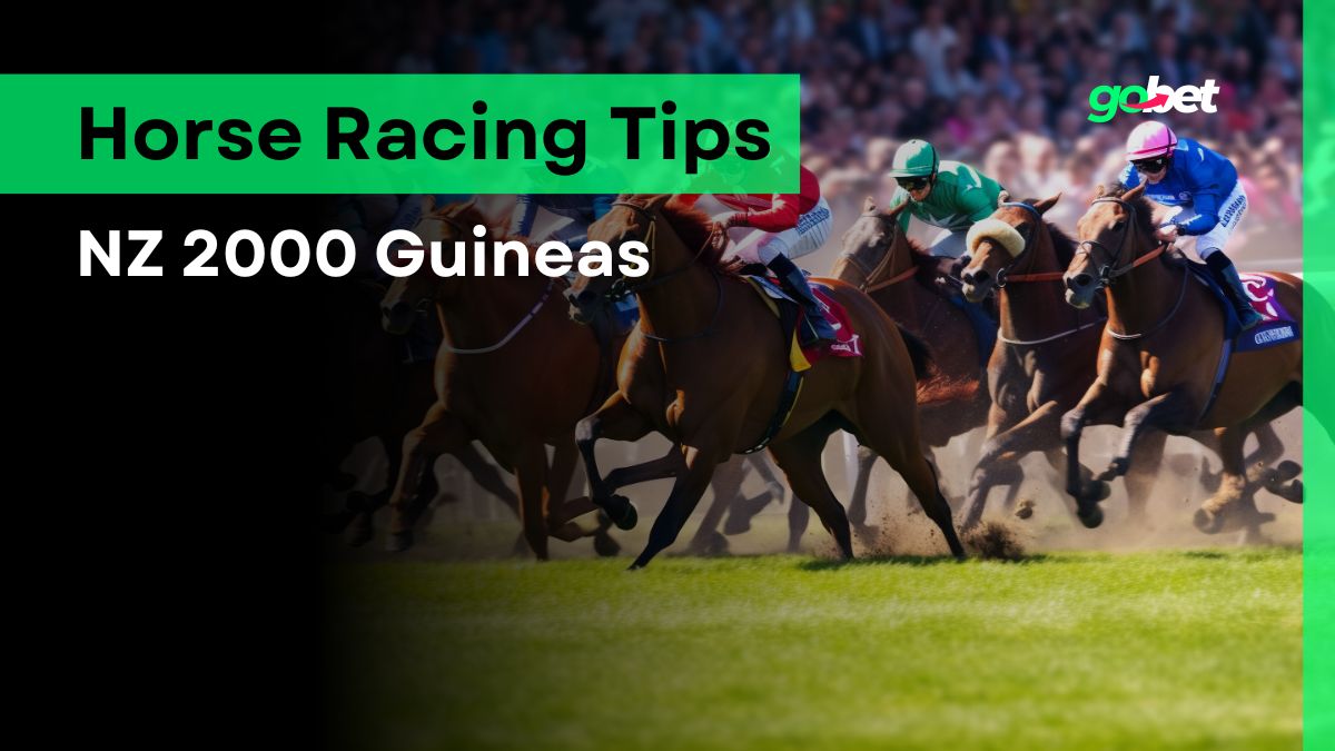 gobet nz 2000 guineas tips