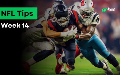 gobet nfl week 14 tips