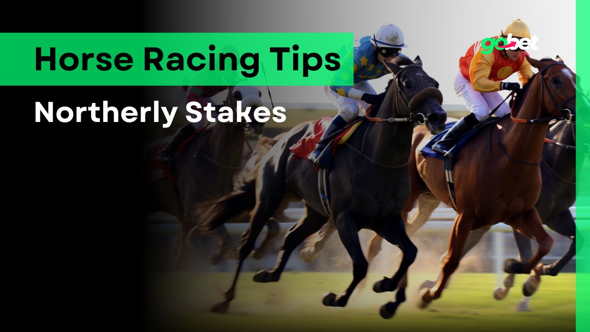 gobet northerly stakes tips