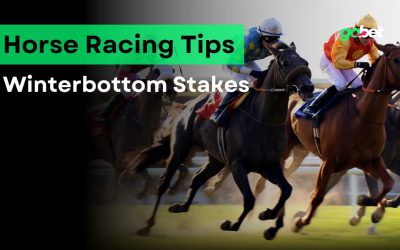 gobet winterbottom stakes tips