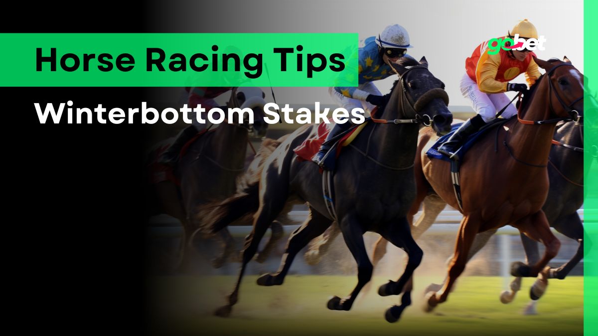 gobet winterbottom stakes tips
