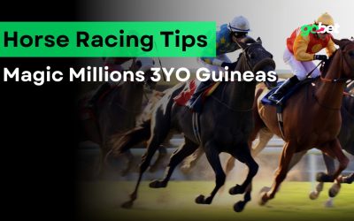 gobet magic millions 3yo guineas tips