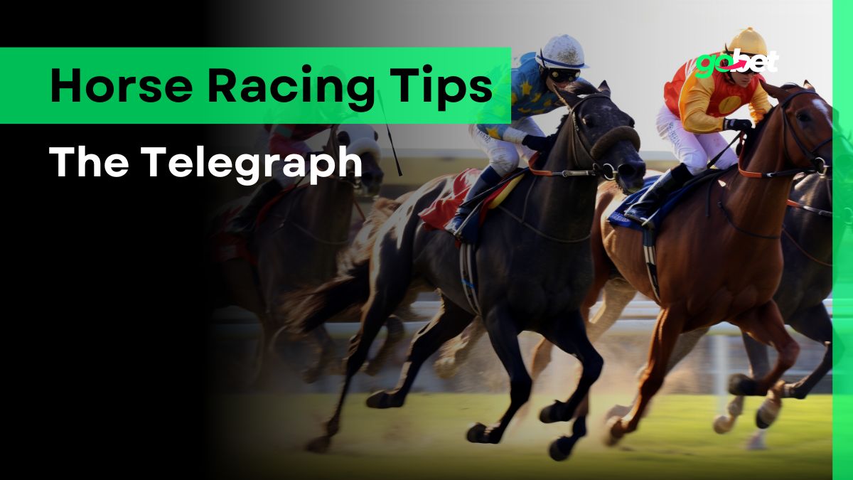 gobet the telegraph horse racing tips
