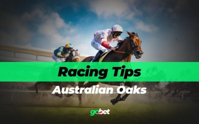 australian oaks tips