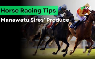 gobet manawatu sires produce tips