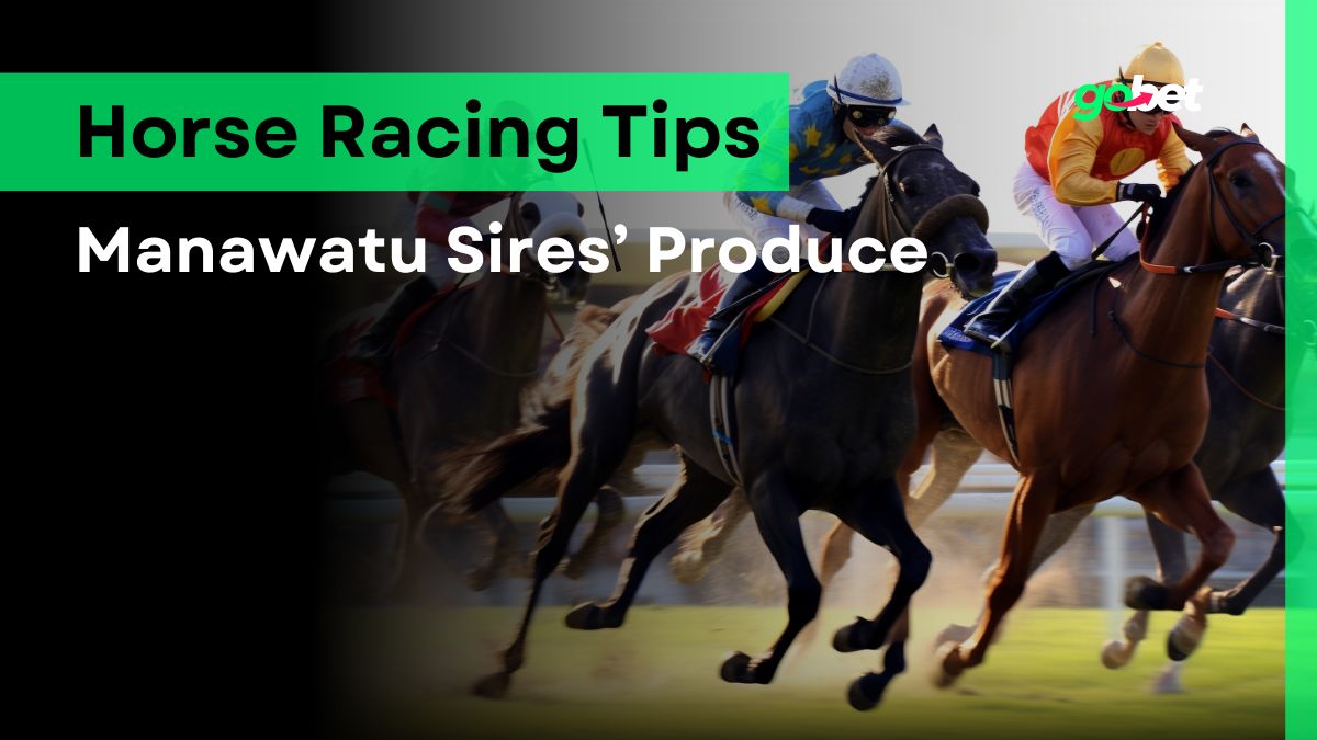 gobet manawatu sires produce tips