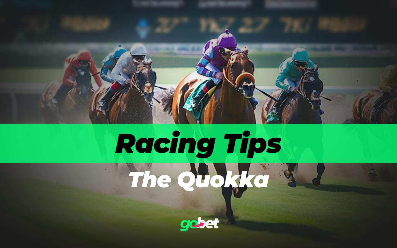 gobet the quokka tips