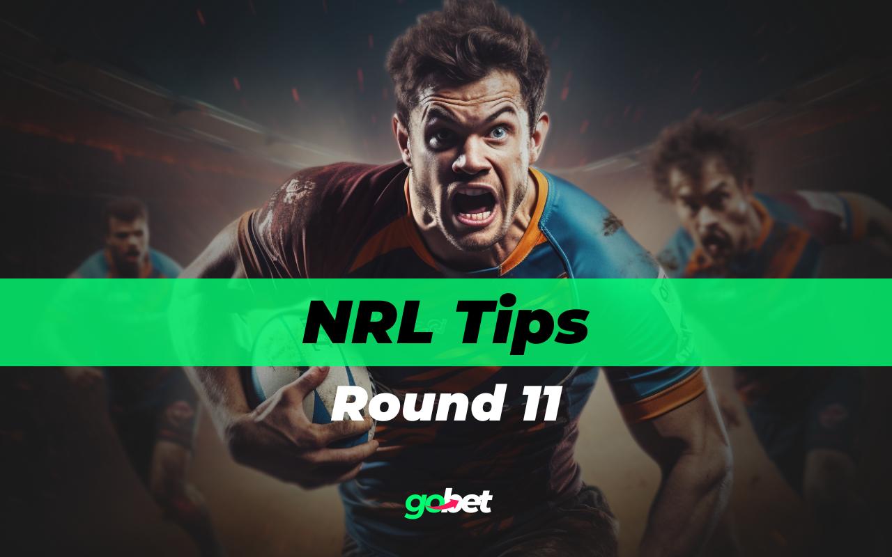 gobet nrl round 11 tips