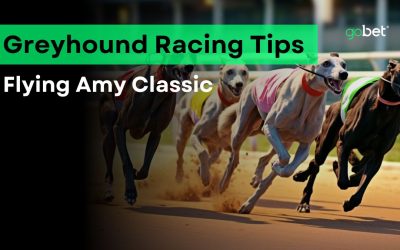 gobet flying amy classic tips