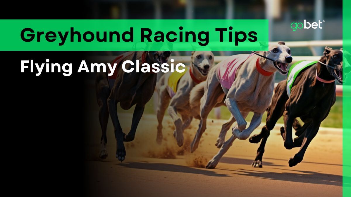 gobet flying amy classic tips
