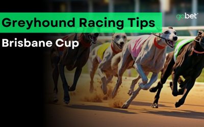 gobet brisbane cup tips