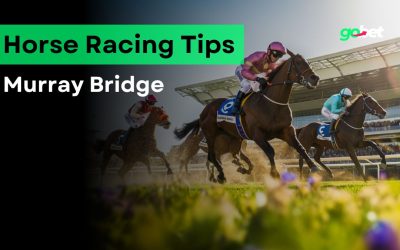 gobet murray bridge horse racing tips