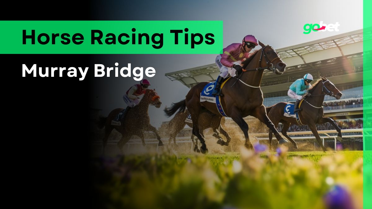 gobet murray bridge horse racing tips