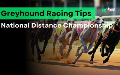 gobet national distance championship tips