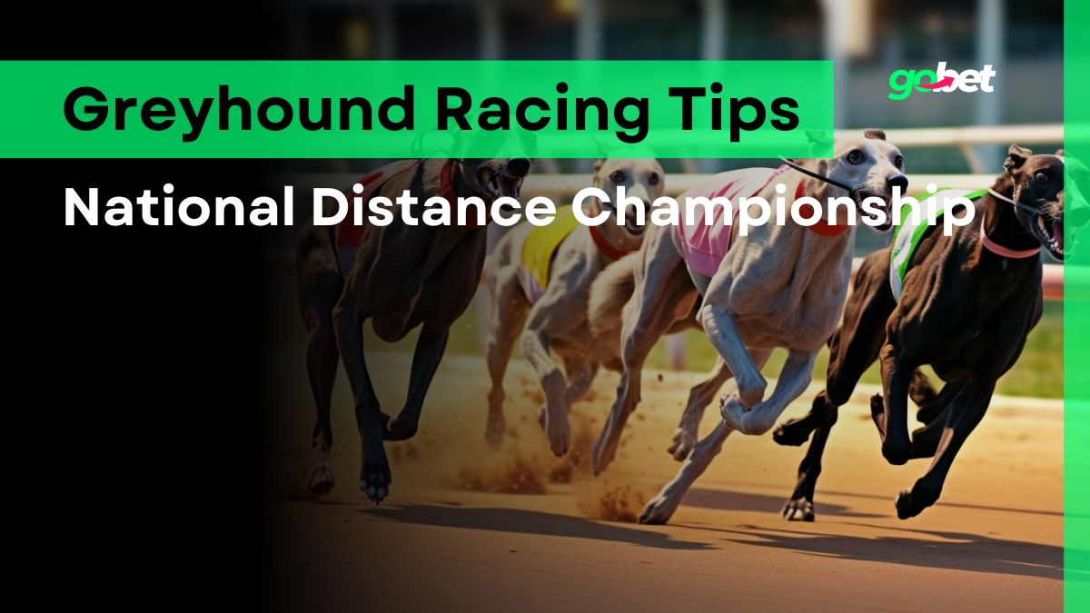 gobet national distance championship tips