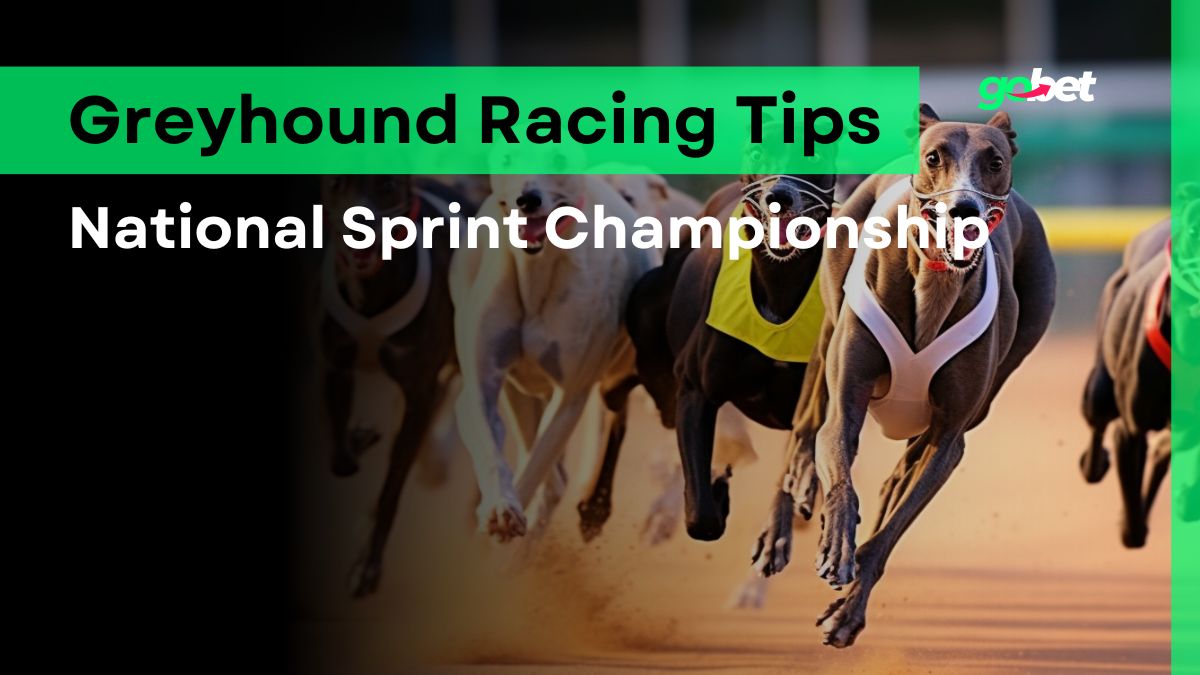 gobet national sprint championship betting tips