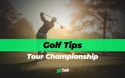 gobet tour championship tips