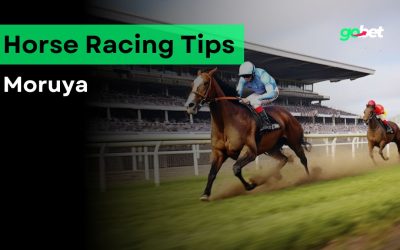 gobet moruya racing tips