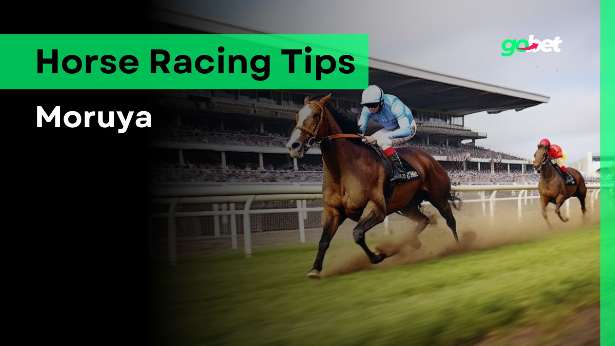 gobet moruya racing tips