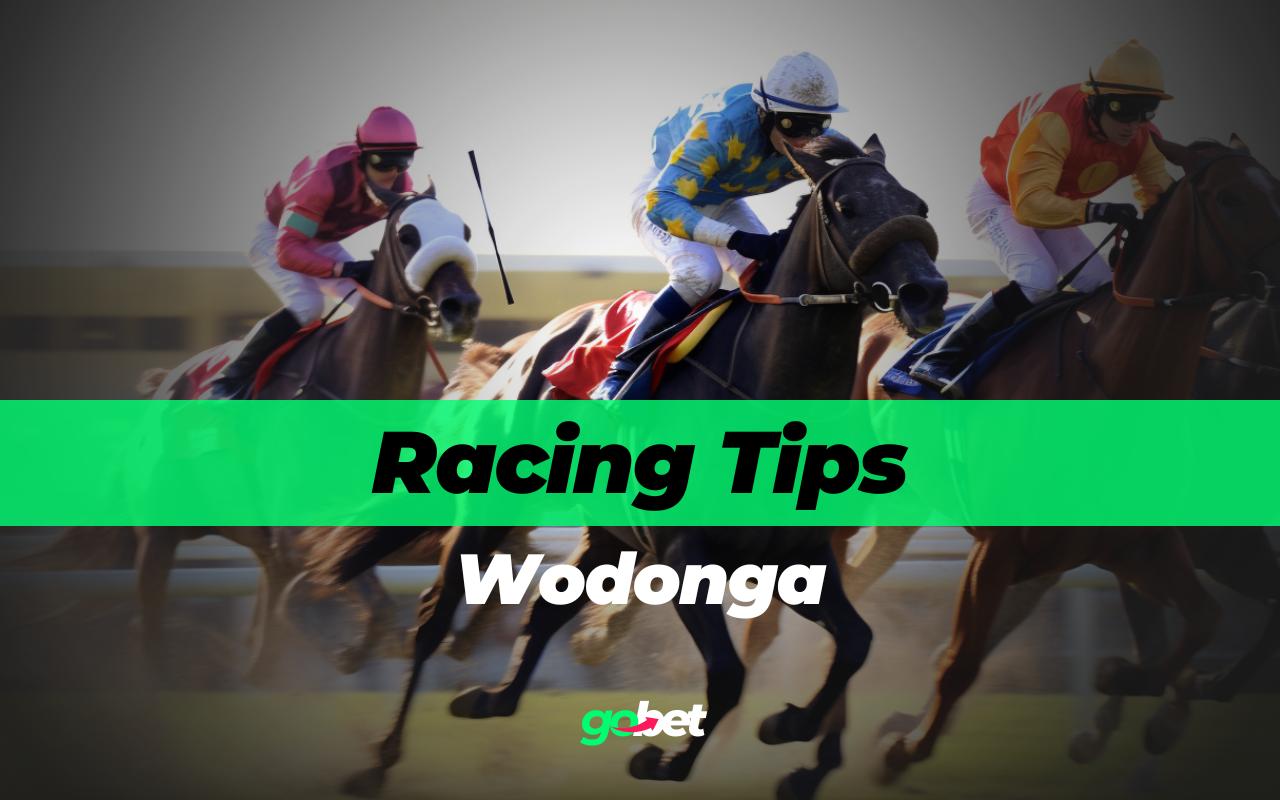gobet wodonga racing tips