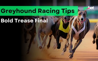 gobet bold trease final tips