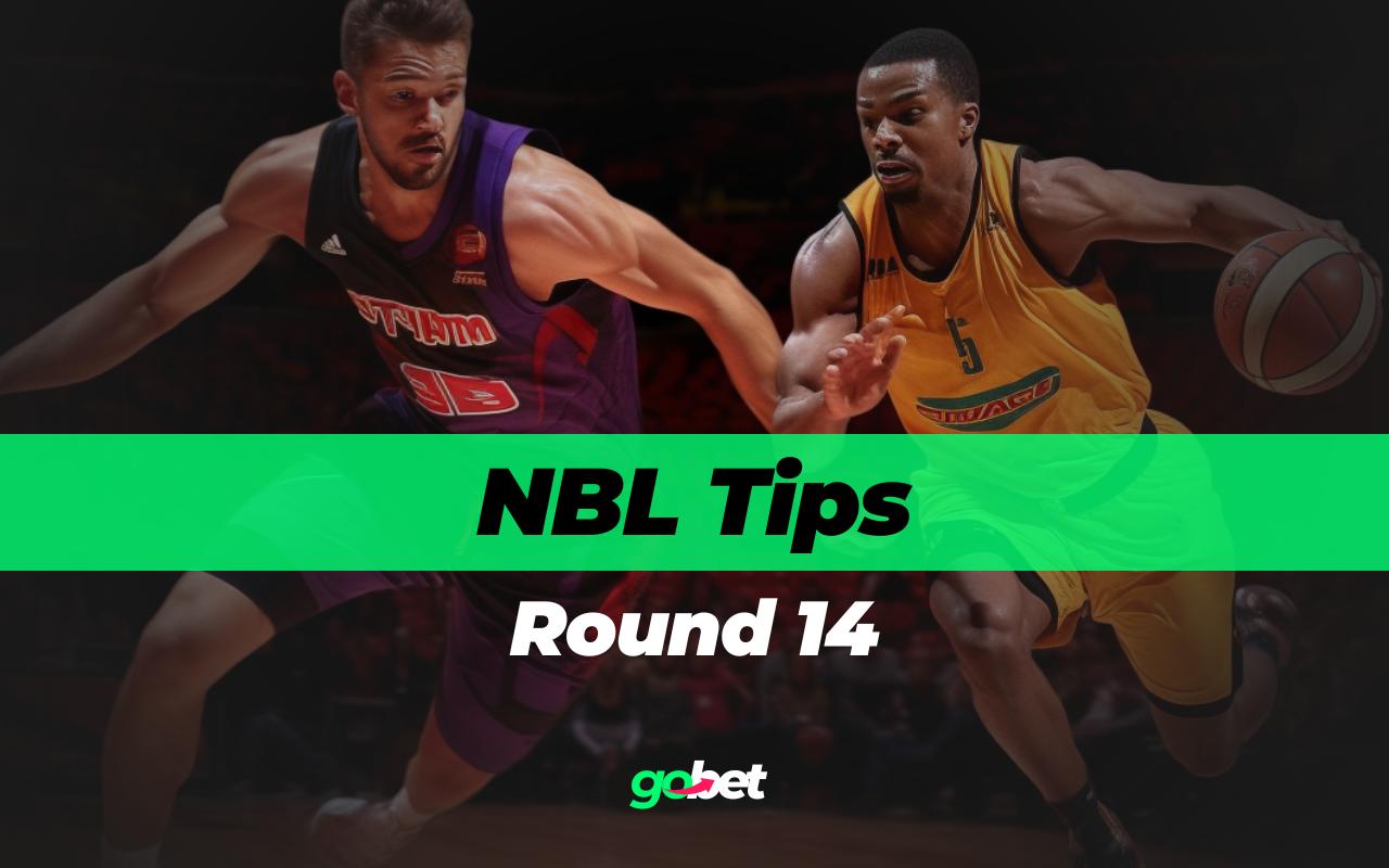 gobet nbl round 14 tips