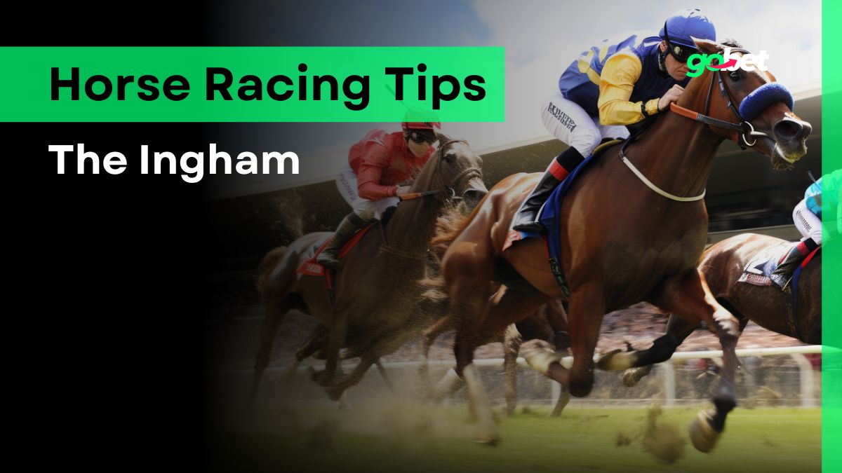 gobet the ingham racing tips