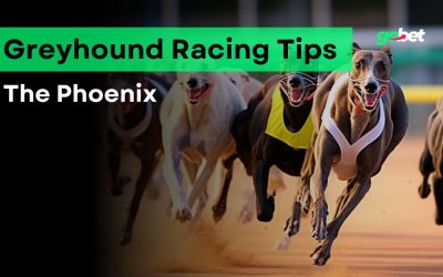 gobet the phoenix tips