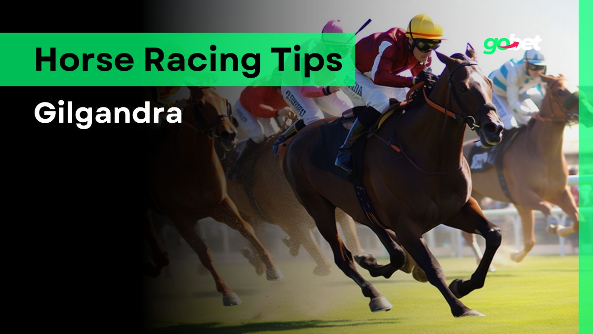 gobet gilgandra racing tips