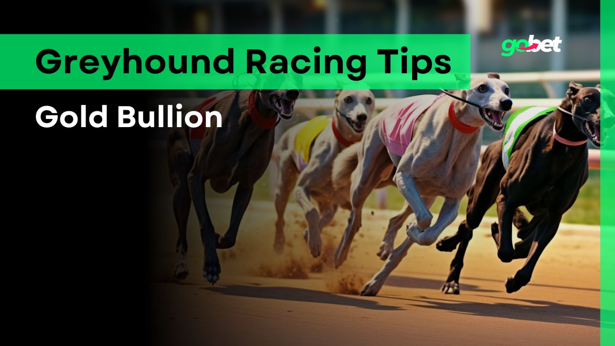 gobet gold bullion greyhound racing tips