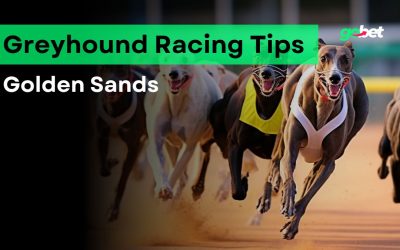 gobet golden sands greyhound racing tips