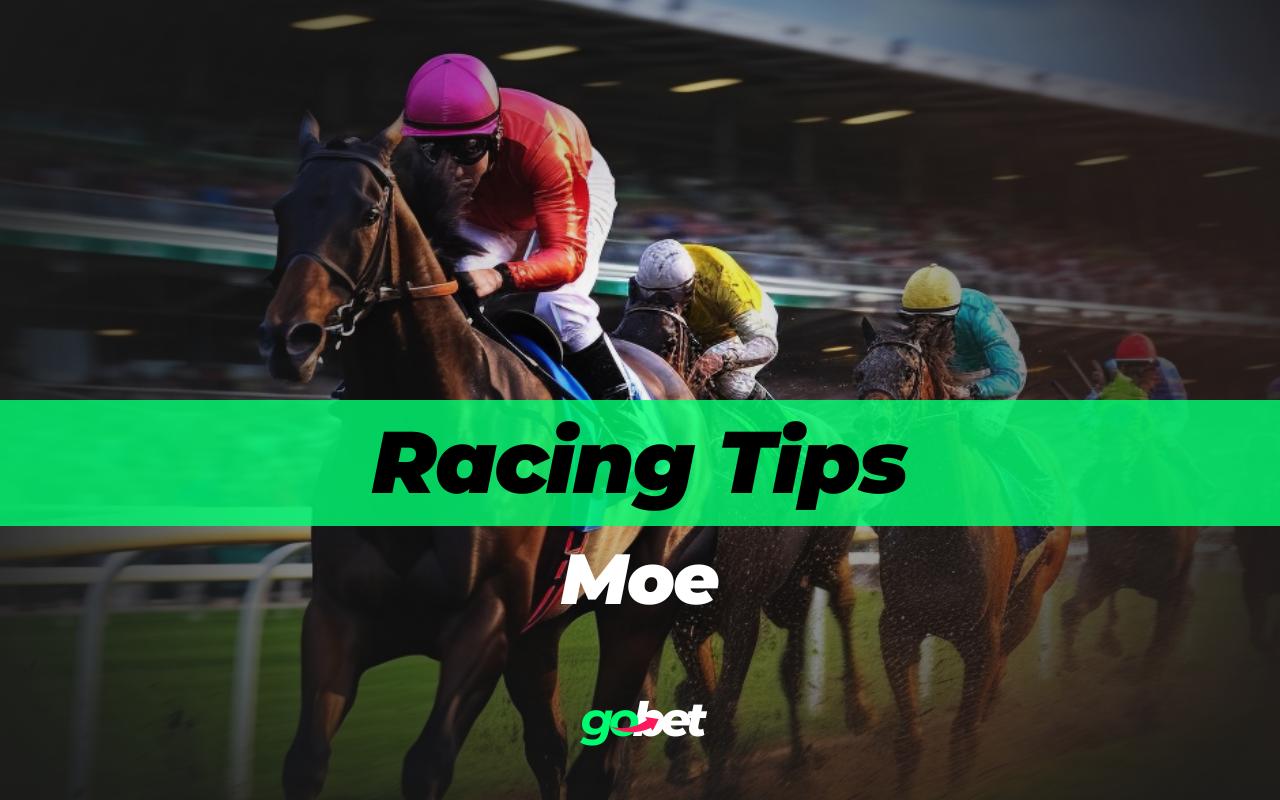gobet moe racing tips
