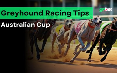 gobet australian cup tips