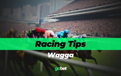 gobet wagga racing tips