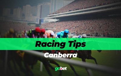 gobet canberra racing tips