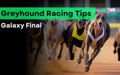 gobet galaxy final greyhound racing tips