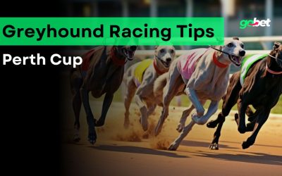 gobet perth cup tips