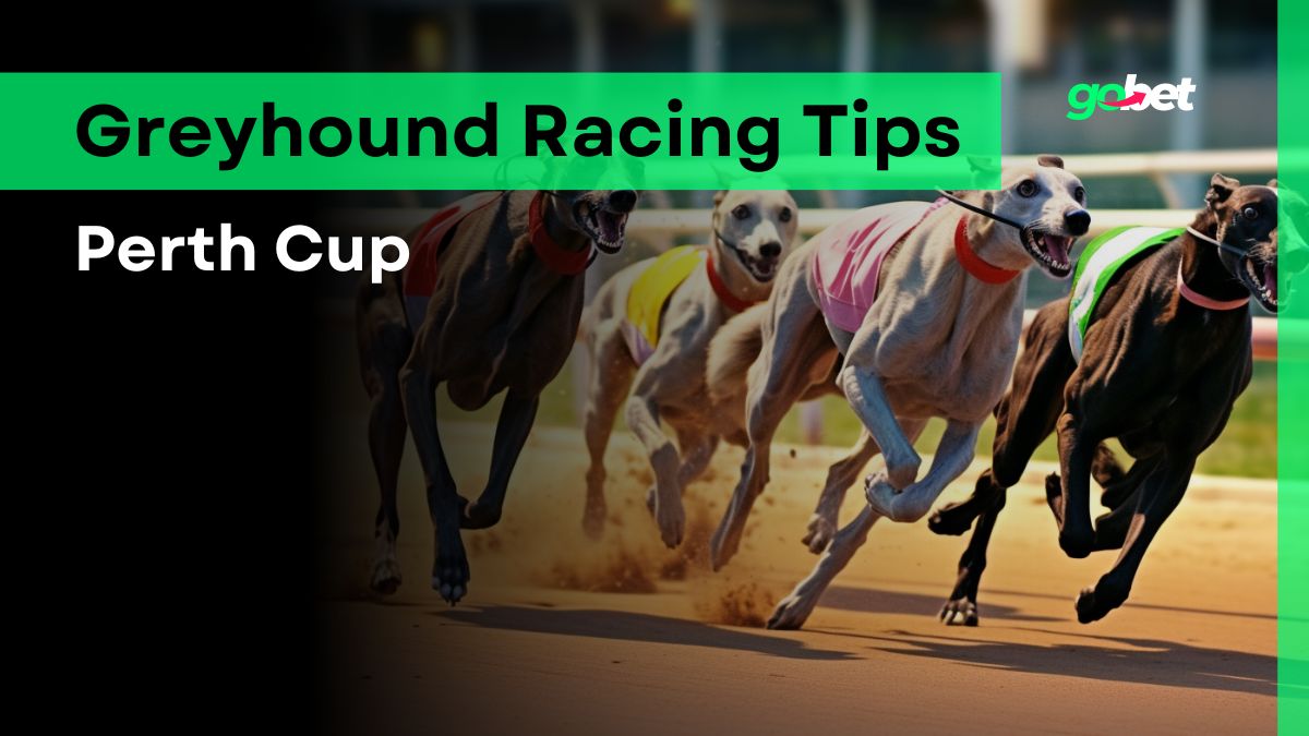 gobet perth cup tips