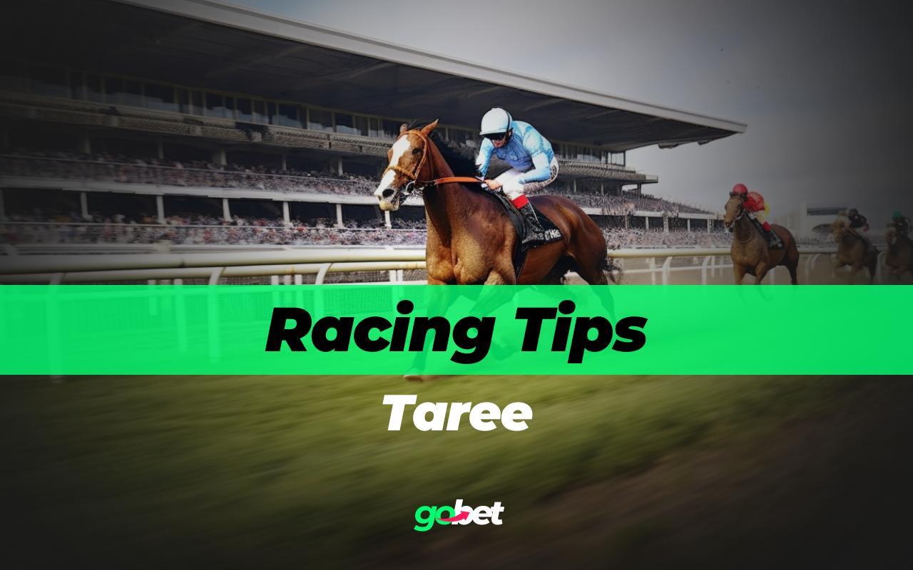 gobet taree racing tips
